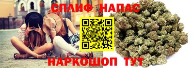 ПСИЛОЦИБИНОВЫЕ ГРИБЫ Коммунар