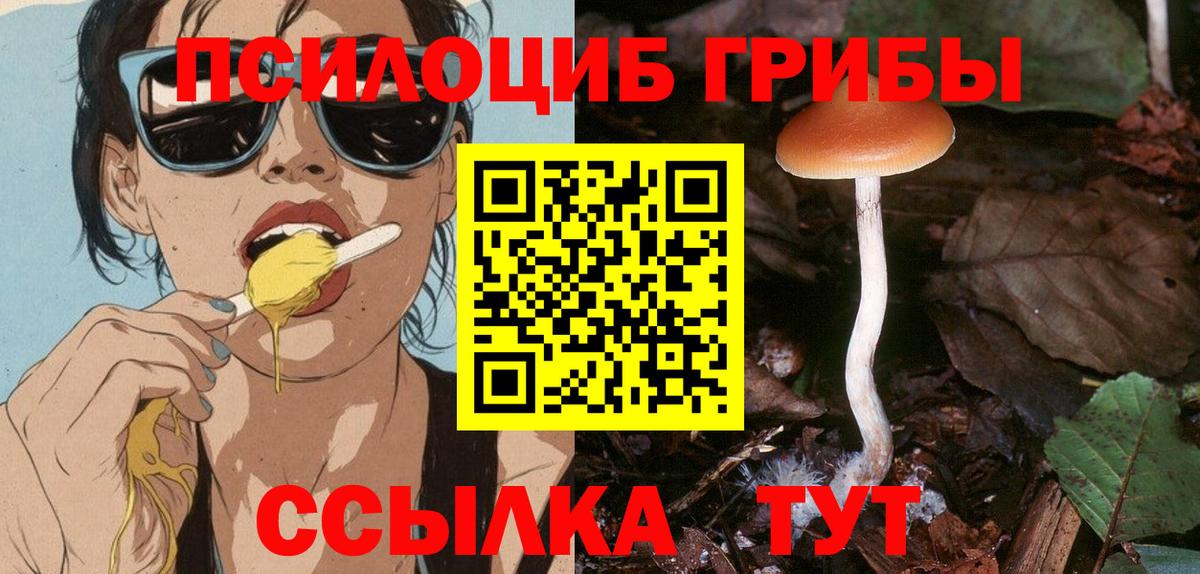 Галлюциногенные грибы ЛСД Каспийск