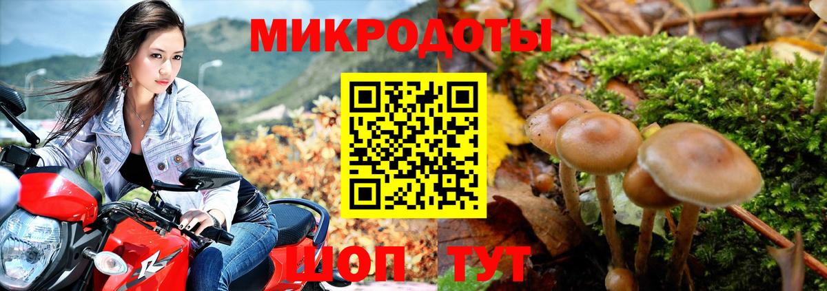 Галлюциногенные грибы ЛСД  Псилоцибиновые грибы GOLDEN TEACHER  Каспийск  купить закладку  Вход с VPN 